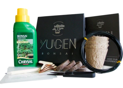 Essential Bonsai Growing Kit | Grow Bonsai Trees | Perfect for Beginners - Image 1 of 4