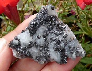 Cristaux Sphalérite & Quartz 5x4cm La Sanguinede Gard minéraux pierre rare - Bild 1 von 6