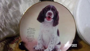 ADORING EYES Plate Quote Springer Spaniel Danbury Mint Far More Love Than Words - Picture 1 of 4