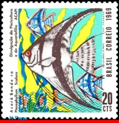 1129 BRAZIL 1969 AQUARIUM FISH, ANGELFISH, ACAPI, FISHKEEPING MI# 1216 C-639 MNH - Image 1 of 2