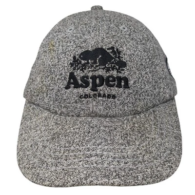 Aspen Colorado Roots Slideback Hat Gray One Size Adjustable Embroidered - Image 1 of 4