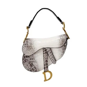 Bolso Saddle Dior Edición Limitada Cuero Latte - Imagen 1 de 15