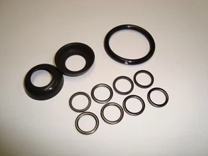 Ford Tractor 144 172 192 Diesel Injection Pump Seals (For fuel in engine oil)    - Picture 1 of 7