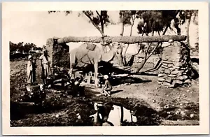 Postcard RPPC Cairo Egypt Sakeih Traditional Water Wheel Camel Child Bathing - Picture 1 of 2