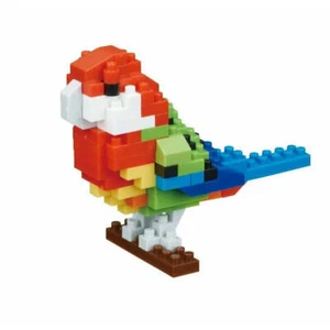 Rosella - Picture 1 of 2