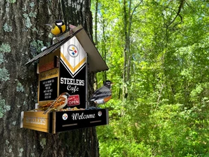Pittsburgh Steelers Bird Feeder By Fan Creations - Picture 1 of 1