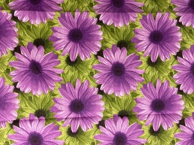 Pink Daisy Flower Medium Weight Upholstery Canvas Fabric By the Panel 36" x 22" - Image 1 of 2