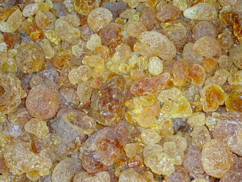 MARKENLOS Kolophonium 500 gr Löten Bogenharz Geigenharz Balsamharz Flussmittel Kolofonium