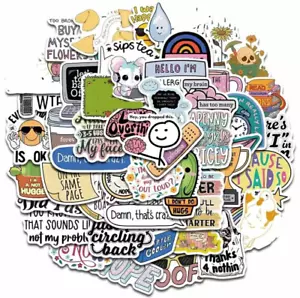 Catchphrase Sarcastic Meme Stickers Funny Cool Office Craft Graffiti Diy - Picture 1 of 6