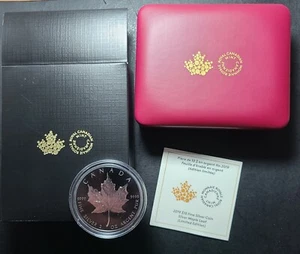 Moneda de plata Canadá 2019 30 aniversario $10 rodio mate prueba hoja de arce 2 oz OGP - Imagen 1 de 6