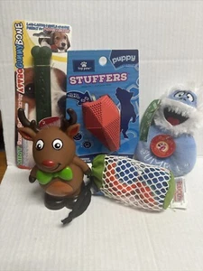Winter Themed Dog Toys Lot - Chew Toys,Stuffer, Bone NEW - Picture 1 of 1