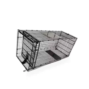 Animal Cage Trap Large 42 In. Collapsible Galvanized Wire Black Powder Coated - Picture 1 of 12
