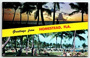 Postcard Greetings from Homestead Florida FL Beach UNP Chrome - Picture 1 of 2