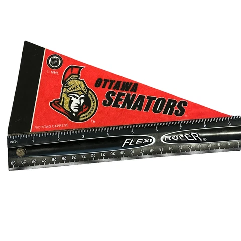 Ottawa Senators NHL Mini Pennant 9"x4", New, Felt, Made in USA Cover