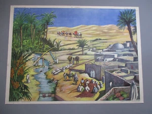 AT168 AFFICHE SCOLAIRE ECOLE ROSSIGNOL L'OASIS - LA RIZIERE - Imagen 1 de 5