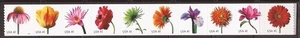 Beautiful Blooms 41c Flowers 2007 4166-4175 como nuevo NH tira de 10 estampillas en bobina - Imagen 1 de 1