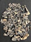 1 Pound Of Dino Bone Fossil Teeth Cretaceous Mix Of Fossils North Mississippi