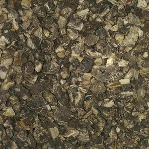Cohos negro orgánico (Cimicifuga racemosa) raíz seca, té de hierbas - Imagen 1 de 3