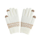 Outdoor Wind Winter Warm Knitted Gloves Mobile Phone Touch Screen Knitted Glo ny