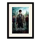 Harry Potter - Mounted & Framed 30X40 Print - Deat New