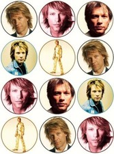 24 Jon Bon Jovi Fairy Cake Toppers Edible Party Decorations
