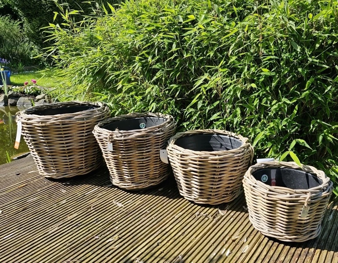 2x Runde Blumentöpfe Mit Rattan-Look – Moderner Übertopf Für Garten, Balkon & Wohnzimmer (Weiß, 20 Cm)