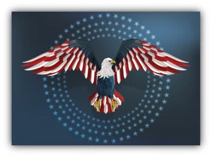 USA Flag Eagle Car Bumper Sticker Decal - Picture 1 of 1