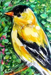 QUADRO ACEO ORIGINALE American GOLDFINCH giallo BIRD primavera fiore natura ARTE - Foto 1 di 1