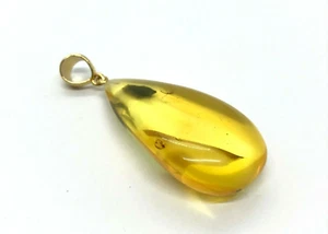 Amber Pendant 2 Insects Baltic Amber Fossil Insect Silver 925 Gold PL 11,9g 2266 - Picture 1 of 12