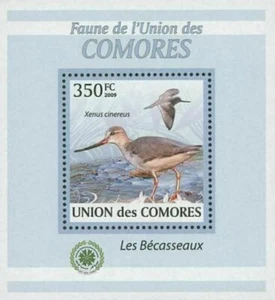 Sandpiper Bird Stamp Xenus Cinereus Mini Sov. Sheet MNH - Picture 1 of 2