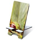 1x 3mm MDF Phone Stand Conker Horse Chestnut Tree #2137