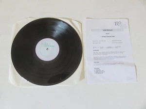 PLUG 1 Visible Crater Funk RISING HIGH WHITE LABEL VINYL 12" & SALES SHEET PLUG1 - Imagen 1 de 13