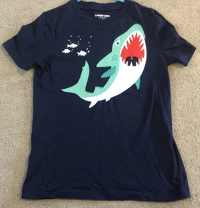 Boys Lands’ End Tshirt Short Sleeved Age 7 - Picture 1 of 2