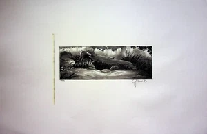 Pixie Hollow Games 2011 FIRMADO Dennis Greco Producción Fondo Diseño Copia - Imagen 1 de 3