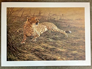 Alan Hunt, Cheetah Print, LAZY AFTERNOON Image 33"x24" 722/1500 - Picture 1 of 5