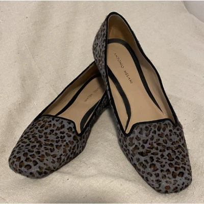 ZAPATOS PLANOS ANTONIO MELANI Graham Cuero Bovino Talla 9M Mob Wife Leopardo Foto 1 de 4