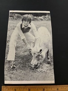 PHOTO GRAPH JOHN LENNON OF THE BEATLES AND PET PIG - Picture 1 of 2