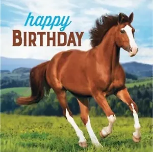 Horse and Pony Happy Birthday Lunch Napkins Paper 16 Pack Western Tableware - Picture 1 of 2