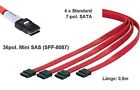 LSI MOLEX 79576-3003 MiniSAS KABEL SFF-8087 Mini Sas kabel 4 x SATA #B-8