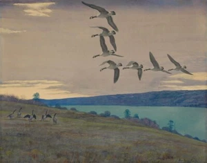Impresión en lienzo de gansos de Canadá John Fuertes 16 x 20 - Imagen 1 de 4