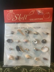 Vintage 1970s Ocean Shell Collection Souvenir NIP 20 Specimens Made In Taiwan - Picture 1 of 1