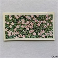 Brooke Bond Tea Card Wild Flowers Series 3 1964 #45 Bog Pimpernel (CC46)