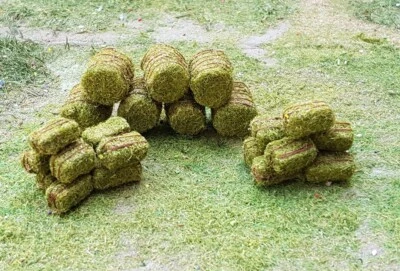 MP SCENERY 30 Green Hay Bales N Gauge Model Farm Layout Railroad Layout Handmade - Image 1 of 4