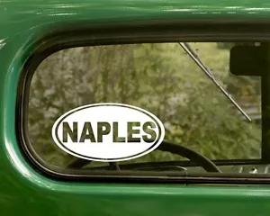 2 calcomanías ovaladas de Nápoles Florida para parachoques coche camión ventana Rv portátil - Imagen 1 de 1