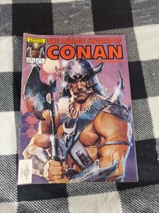 The Savage Sword Of Conan The Barbarian Vol 1 #102: Marvel Comics July 1984 VG+ - Picture 1 of 6