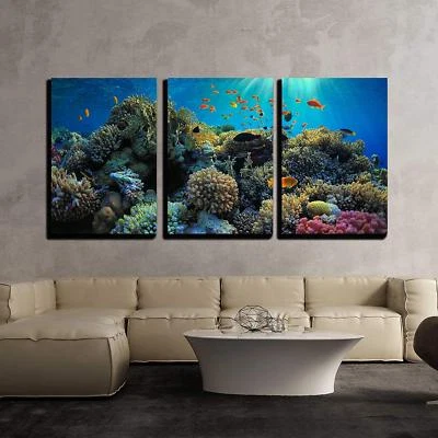 Wall26 - Beautiful View of Sea Life - Canvas Art Wall Decor - 16"x24"x3 Panels - Image 1 of 3