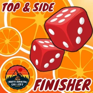 🏁🏁🏁 TOP and SIDE event finisher 🏁🏁🏁 - Picture 1 of 2