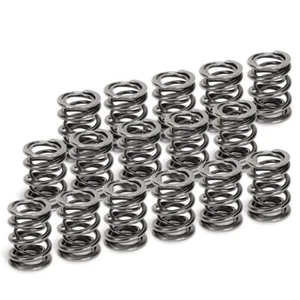 Supertech Dual Valve Springs Acura RSX TSX K20 K24 Honda S2000 F20 DOHC VTEC NEW - Bild 1 von 1