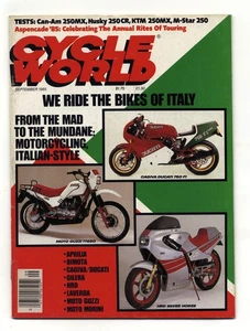 CAN-AM 250MX HUSKY 250CR KTM 250MX M-STAR 250 CAGIVA-DUCATI GILERA NE250 NX250 - Picture 1 of 14