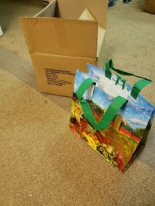 NUOVE BORSE PER LA SPESA RIUTILIZZABILI / PIEGHEVOLI Earthwise stampa silo (qtà 20) - Foto 1 di 3